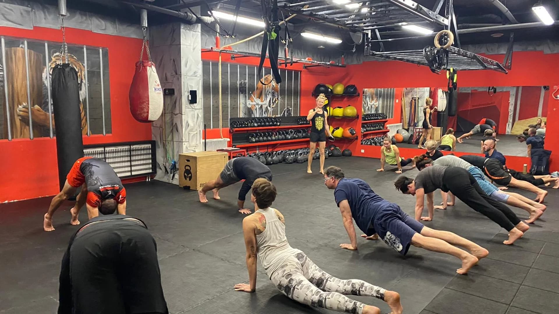 6-týdenní základní kurz ANIMAL FLOW